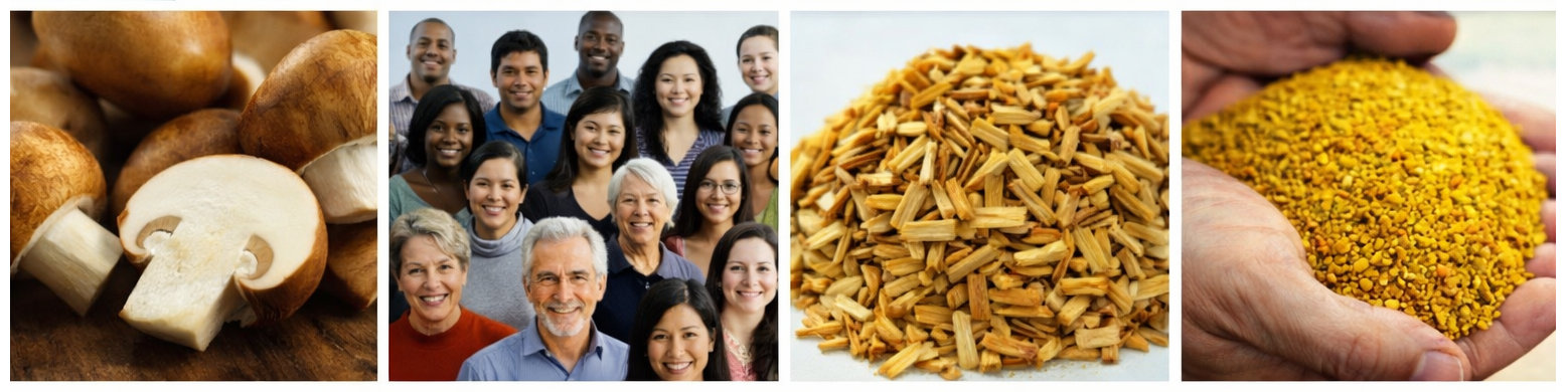 Pollutant Removal & Soil Solutions