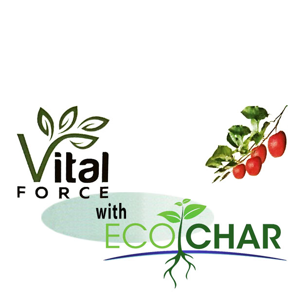 Vital Force / Ecochar Kit