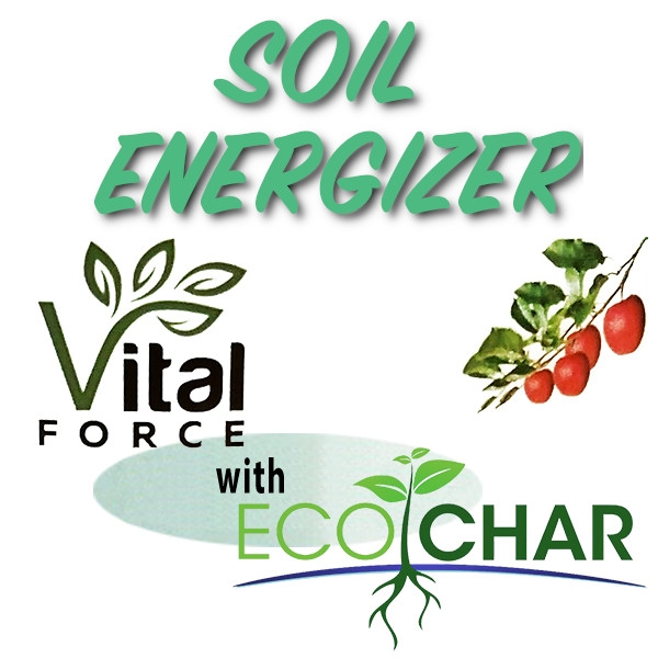 Vital Force / Eco Char